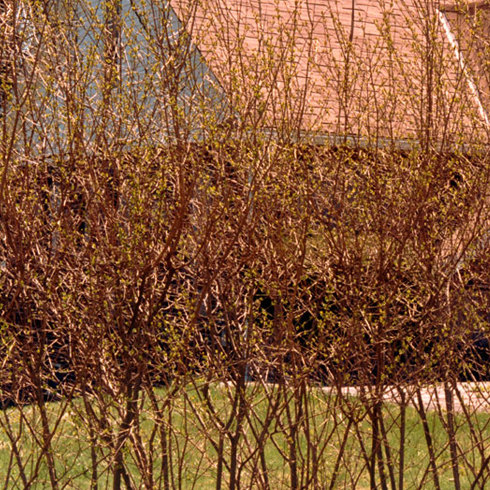 Untitled+%5BTannersville%5D